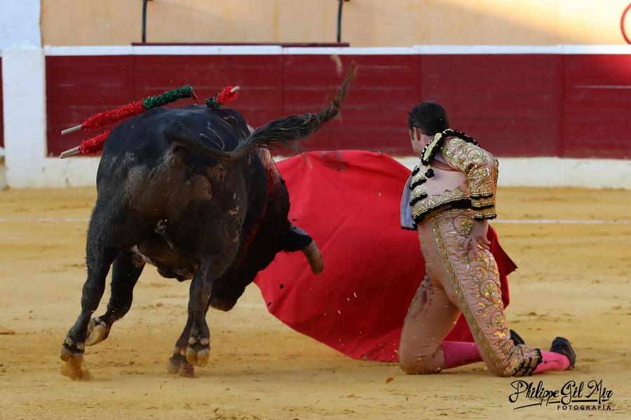 Huesca 12-08-2023 Toros de Salvador Domecq