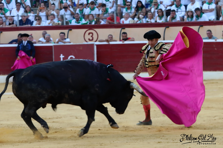 Huesca 12-08-2023 Toros de Salvador Domecq