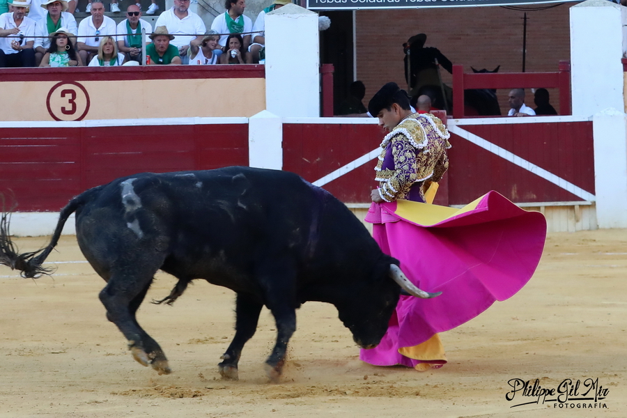 Huesca 11-08-2023 Toros de Antonio Bañuelos