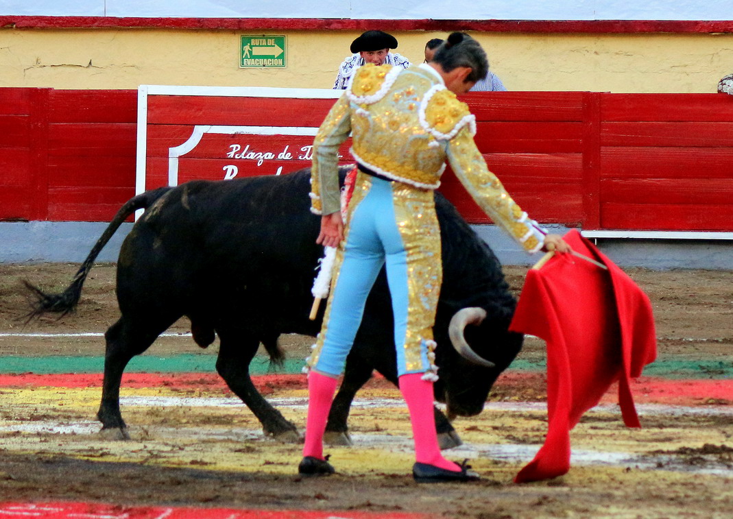 IMG_0362_redimensionar