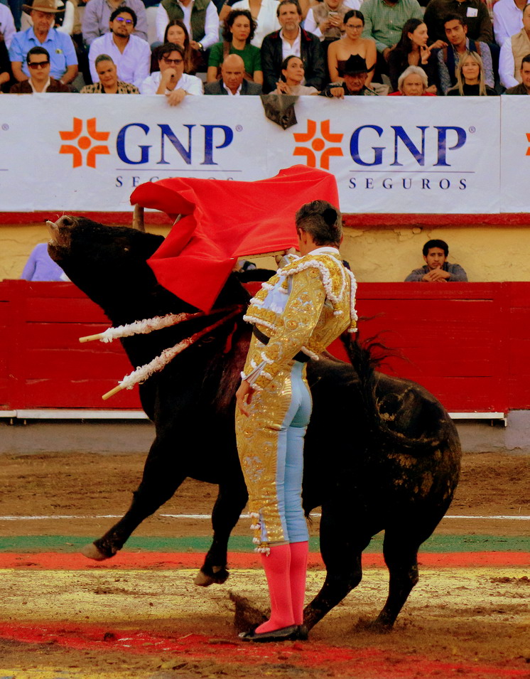 IMG_0448_redimensionar