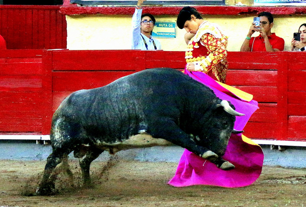 IMG_0511_redimensionar