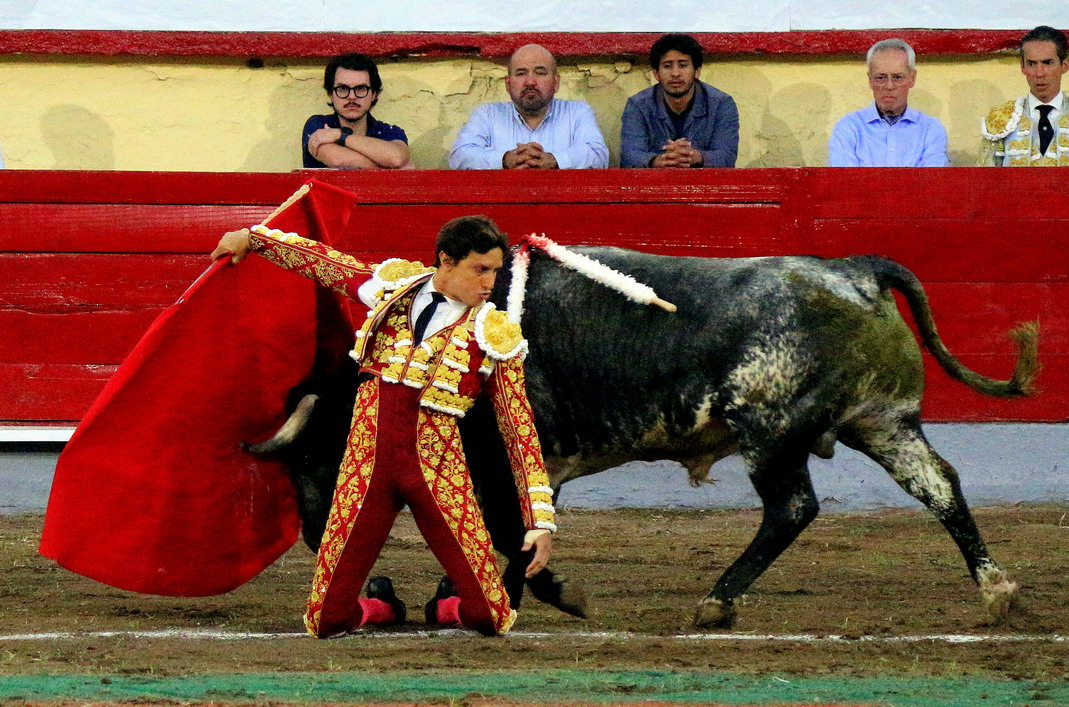 IMG_0572_redimensionar