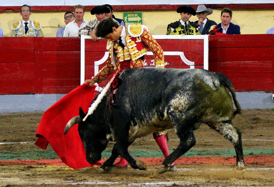 IMG_0589_redimensionar