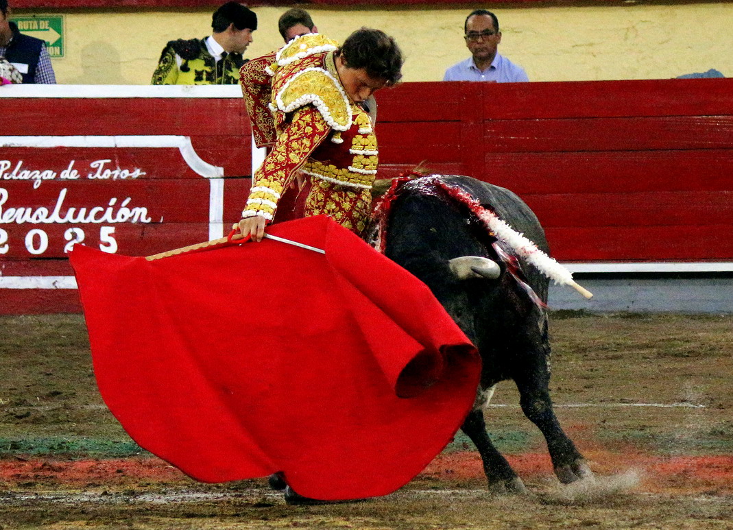 IMG_0599_redimensionar