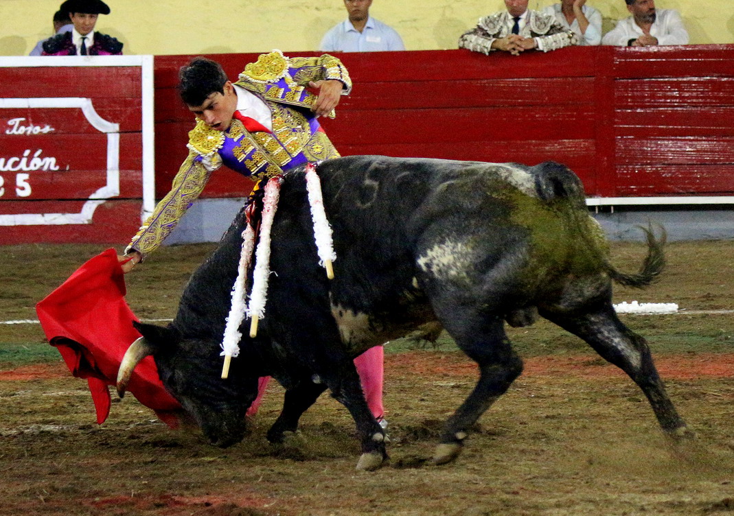 IMG_0890_redimensionar