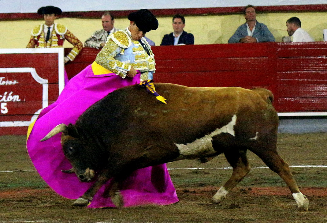 IMG_1006_redimensionar