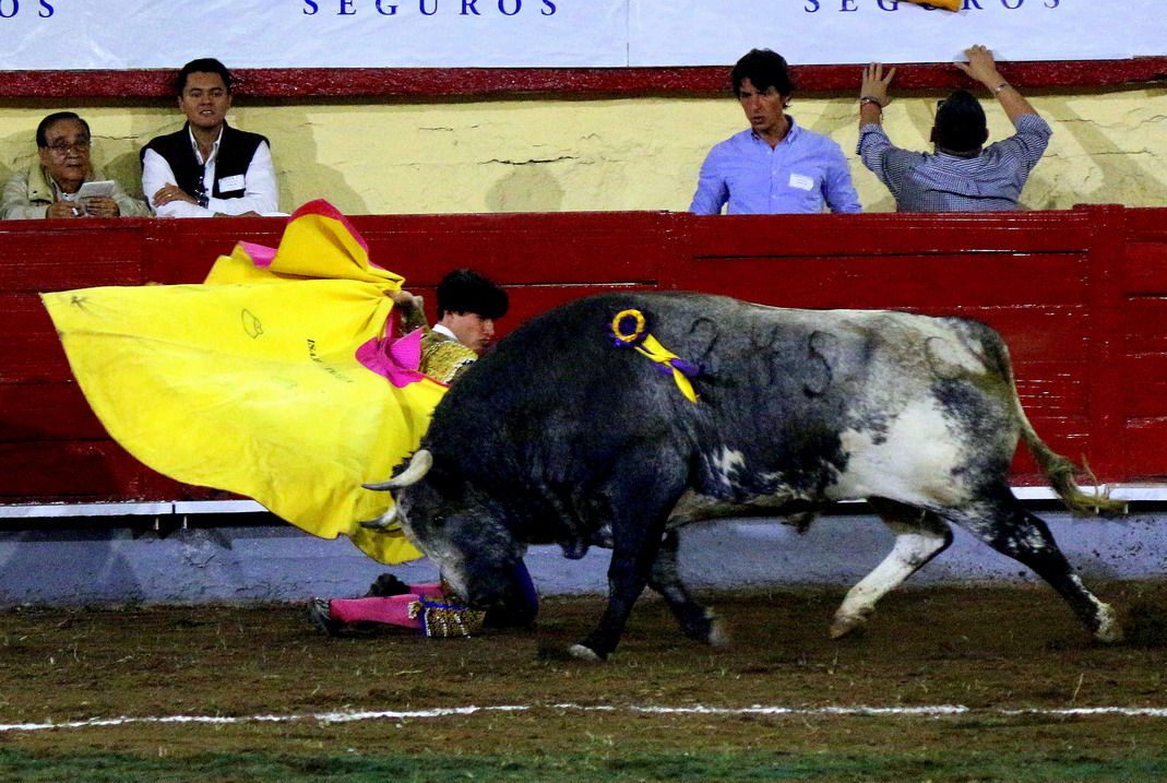 IMG_1429_redimensionar