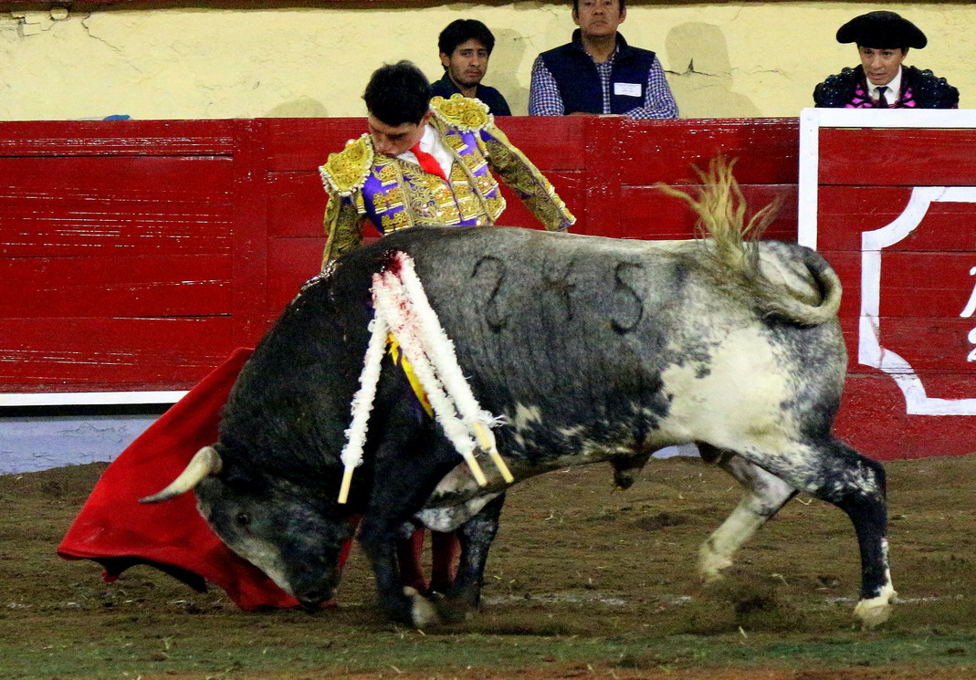 IMG_1457_redimensionar