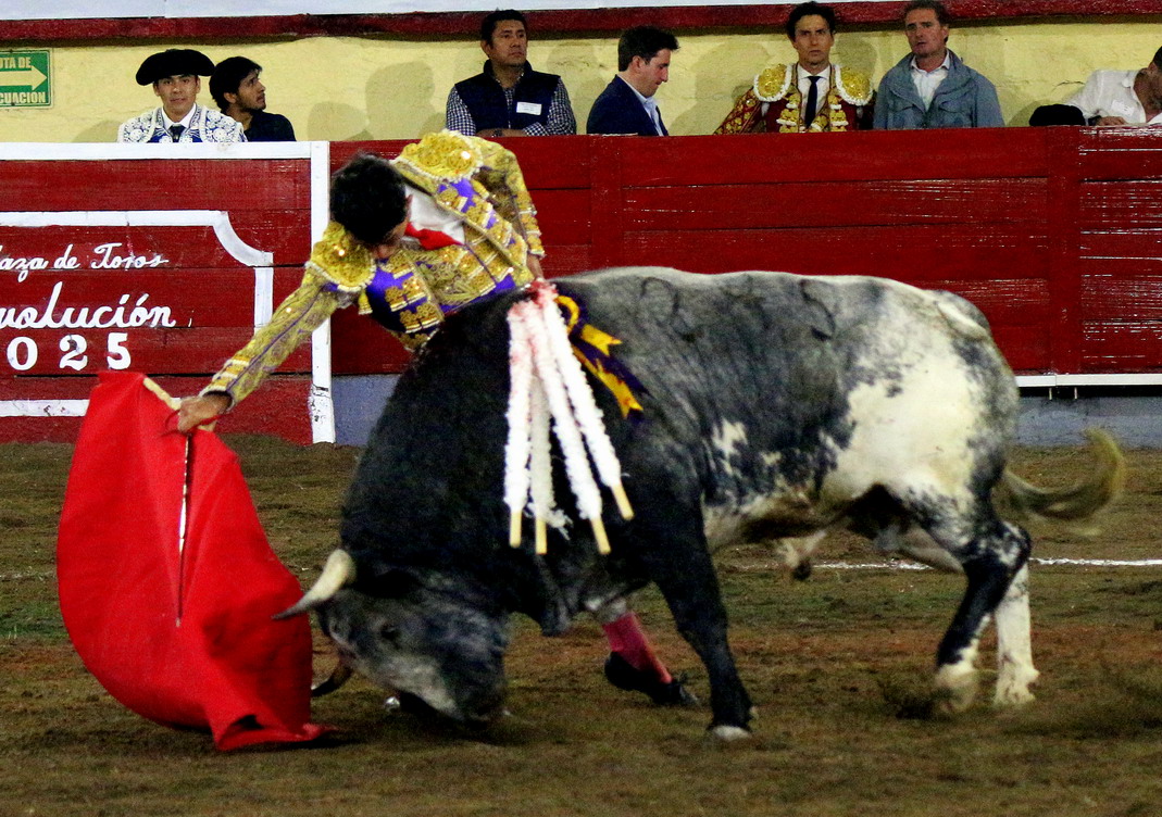 IMG_1471_redimensionar