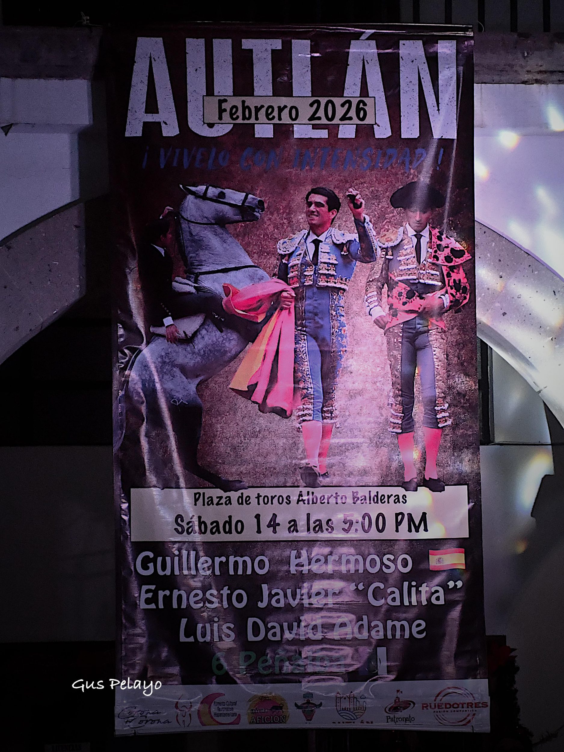 WhatsApp Image 2025-12-16 at 21.46.06