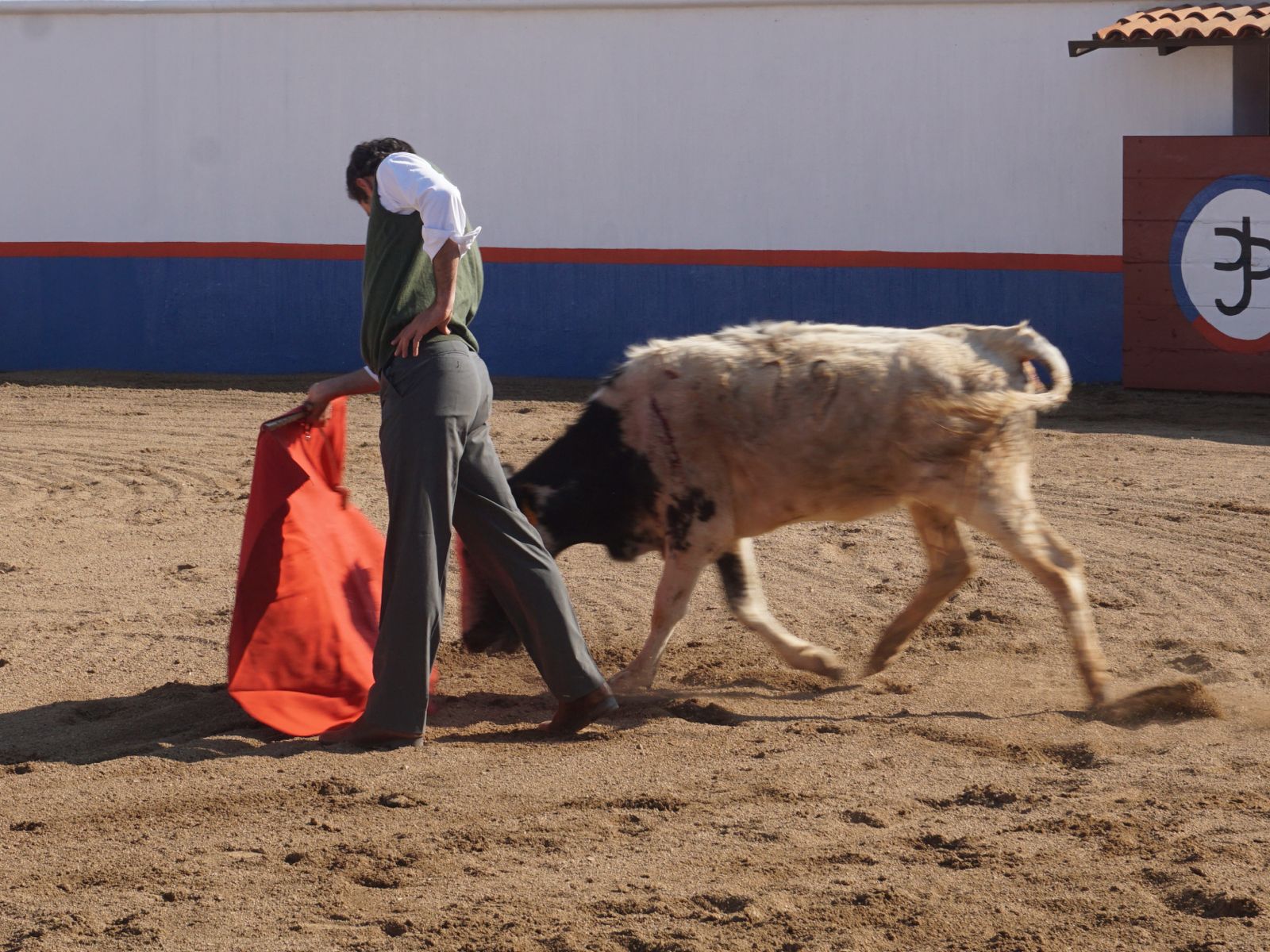 WhatsApp Image 2026-01-08 at 19.55.22 (1)