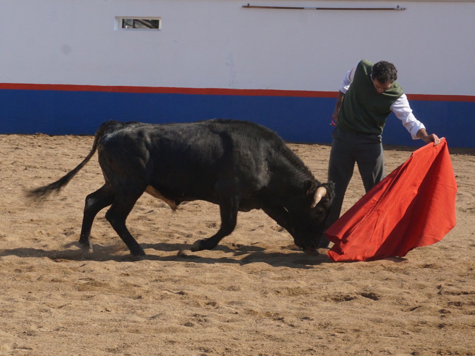 WhatsApp Image 2026-01-08 at 19.55.24