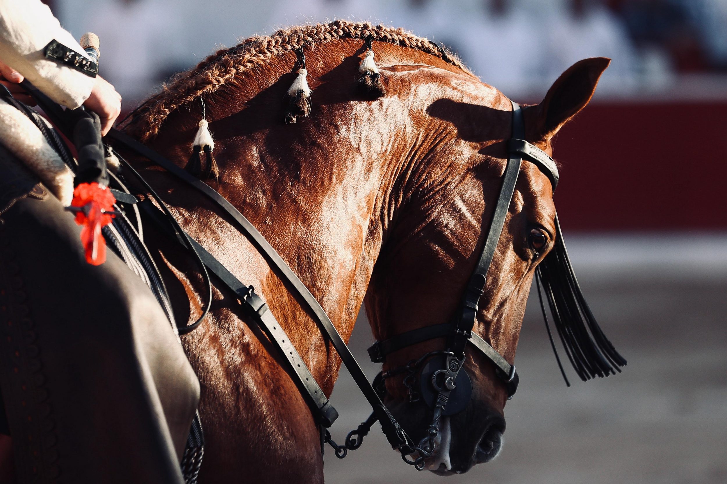 WhatsApp Image 2026-01-25 at 20.37.40 (3)