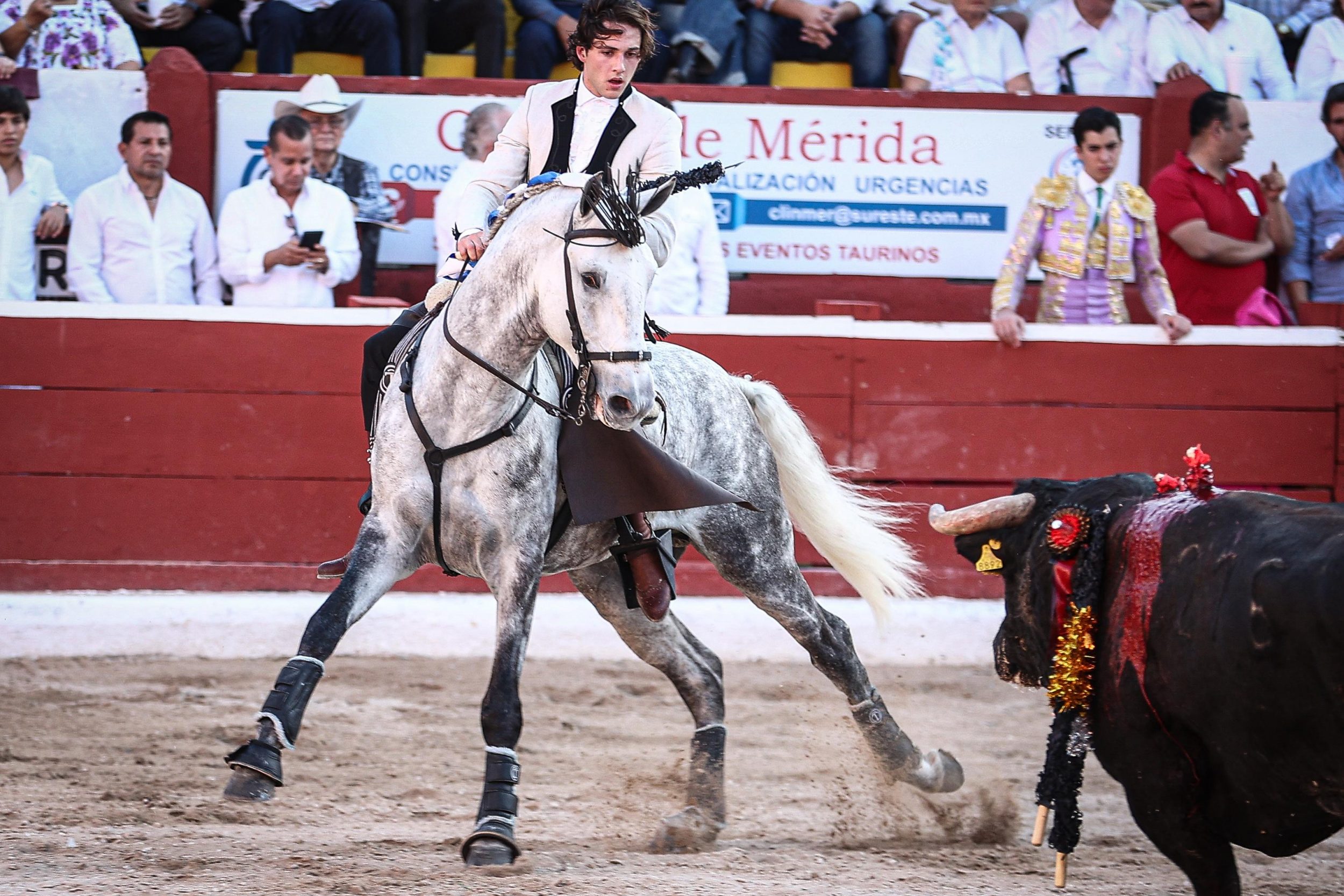 WhatsApp Image 2026-01-25 at 20.37.40 (4)