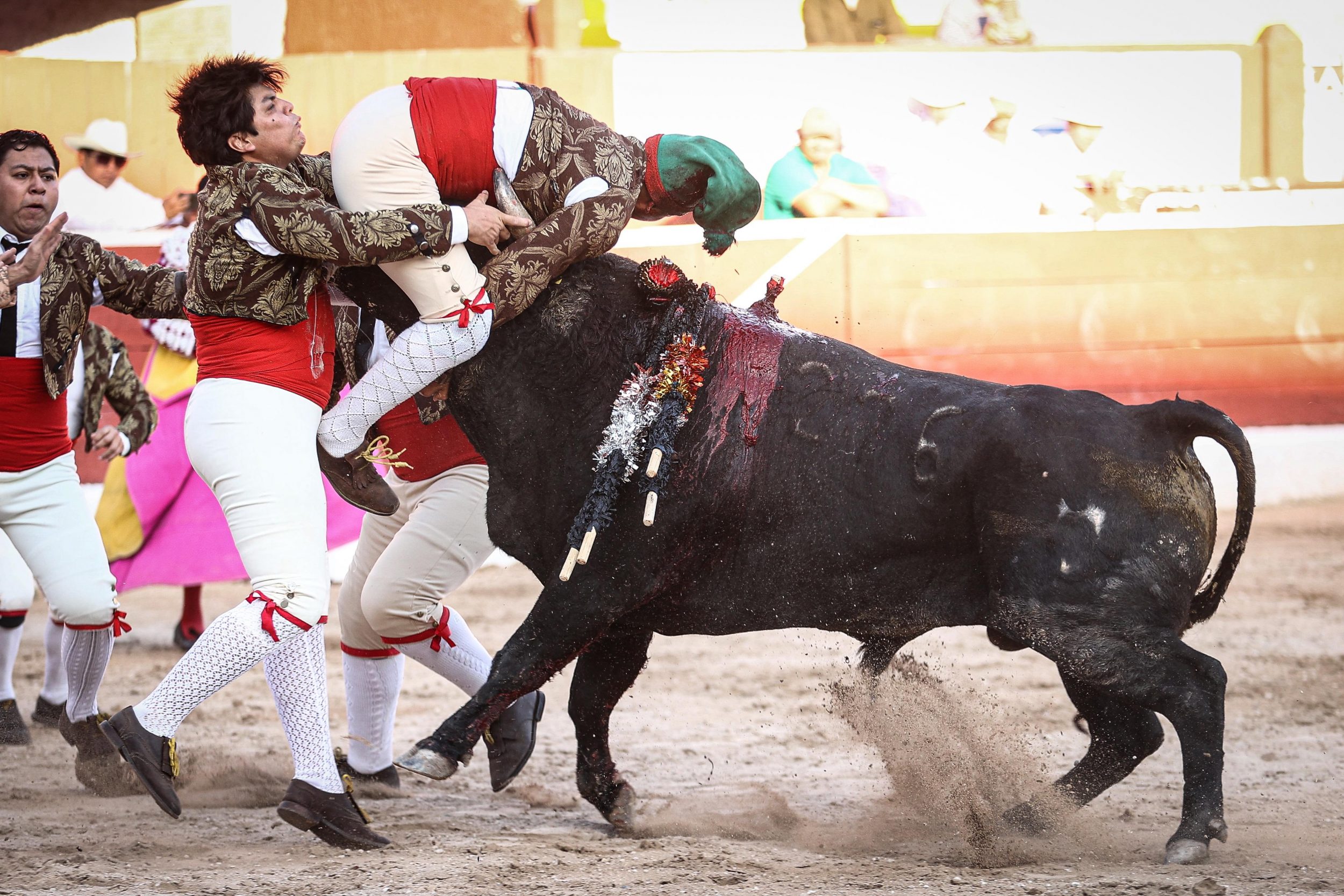 WhatsApp Image 2026-01-25 at 20.37.41 (1)