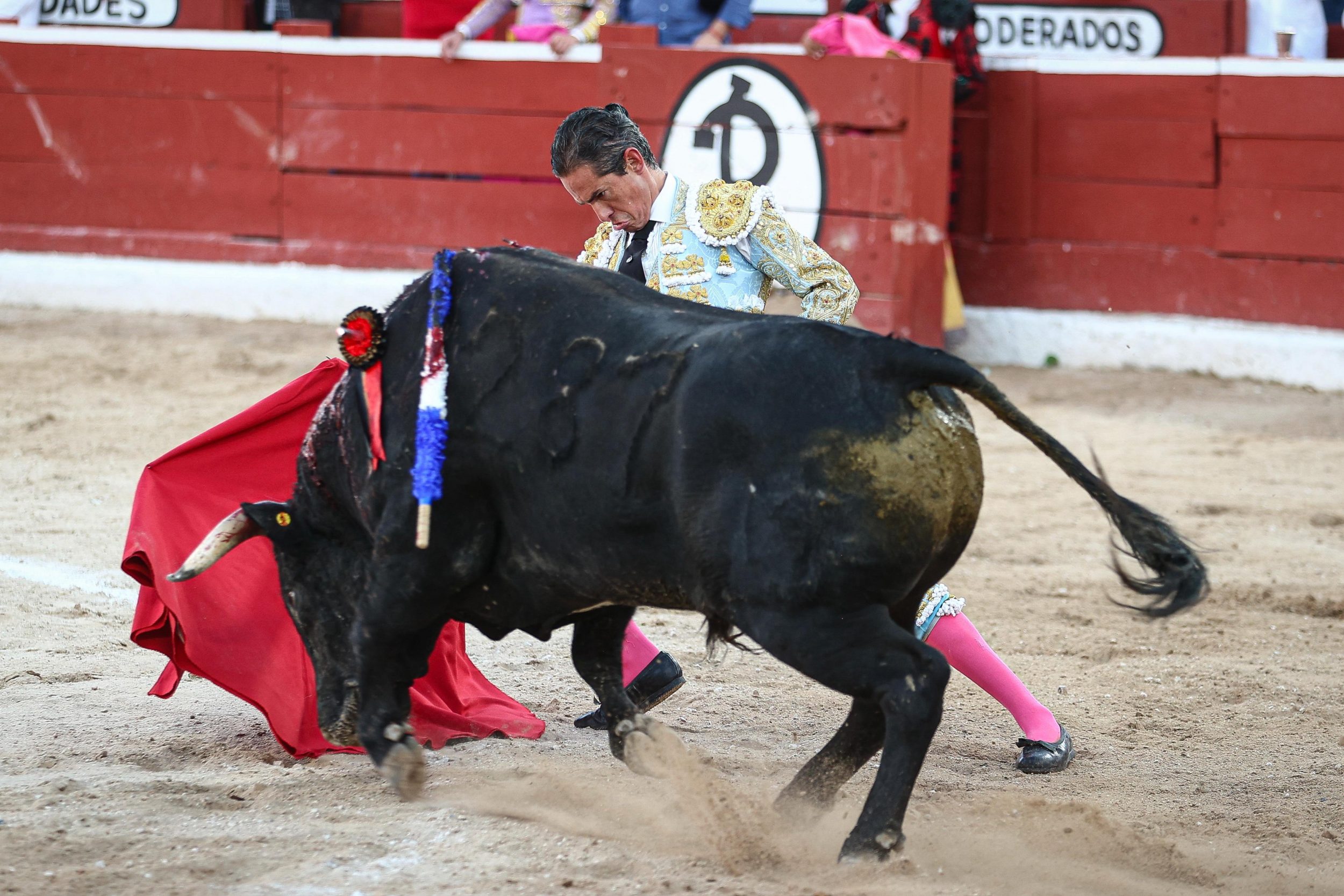 WhatsApp Image 2026-01-25 at 20.37.42 (1)