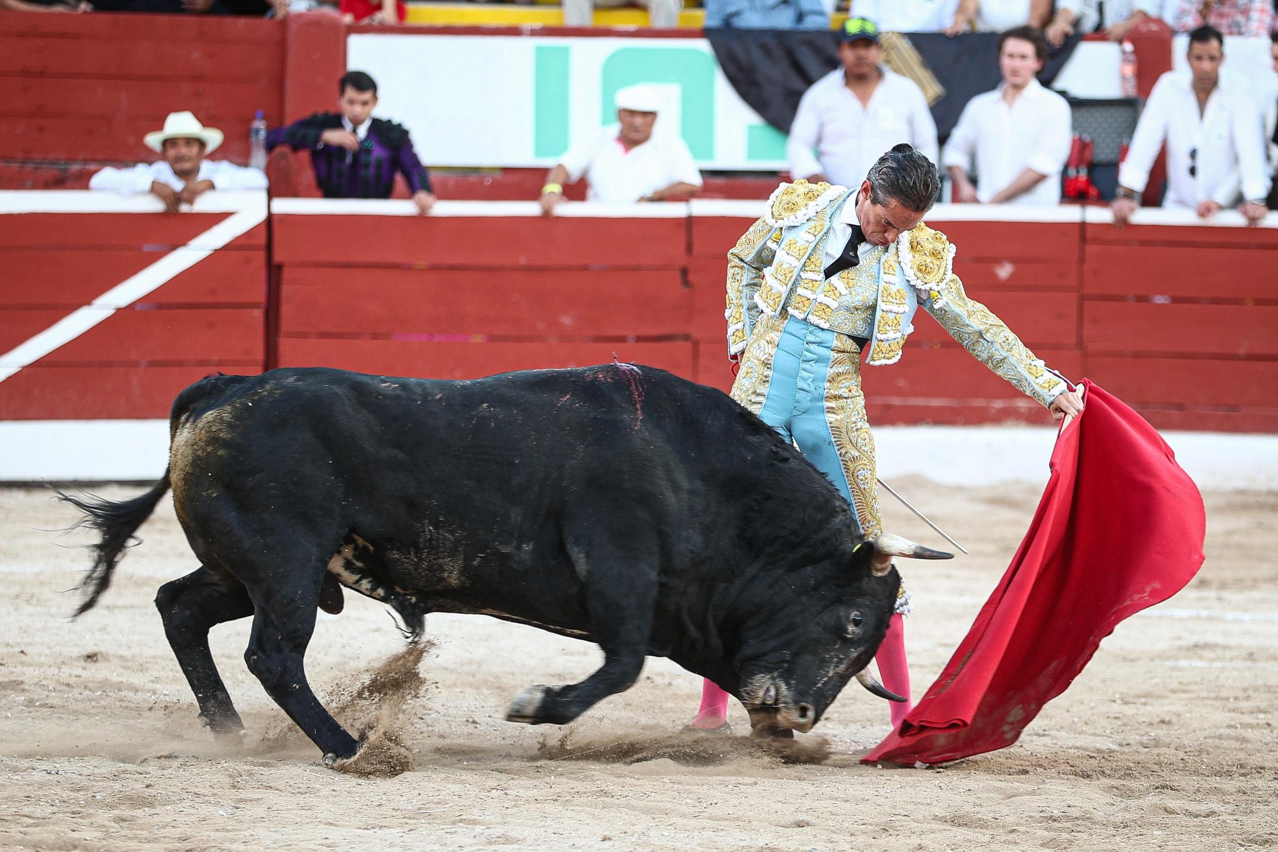 WhatsApp Image 2026-01-25 at 20.37.42