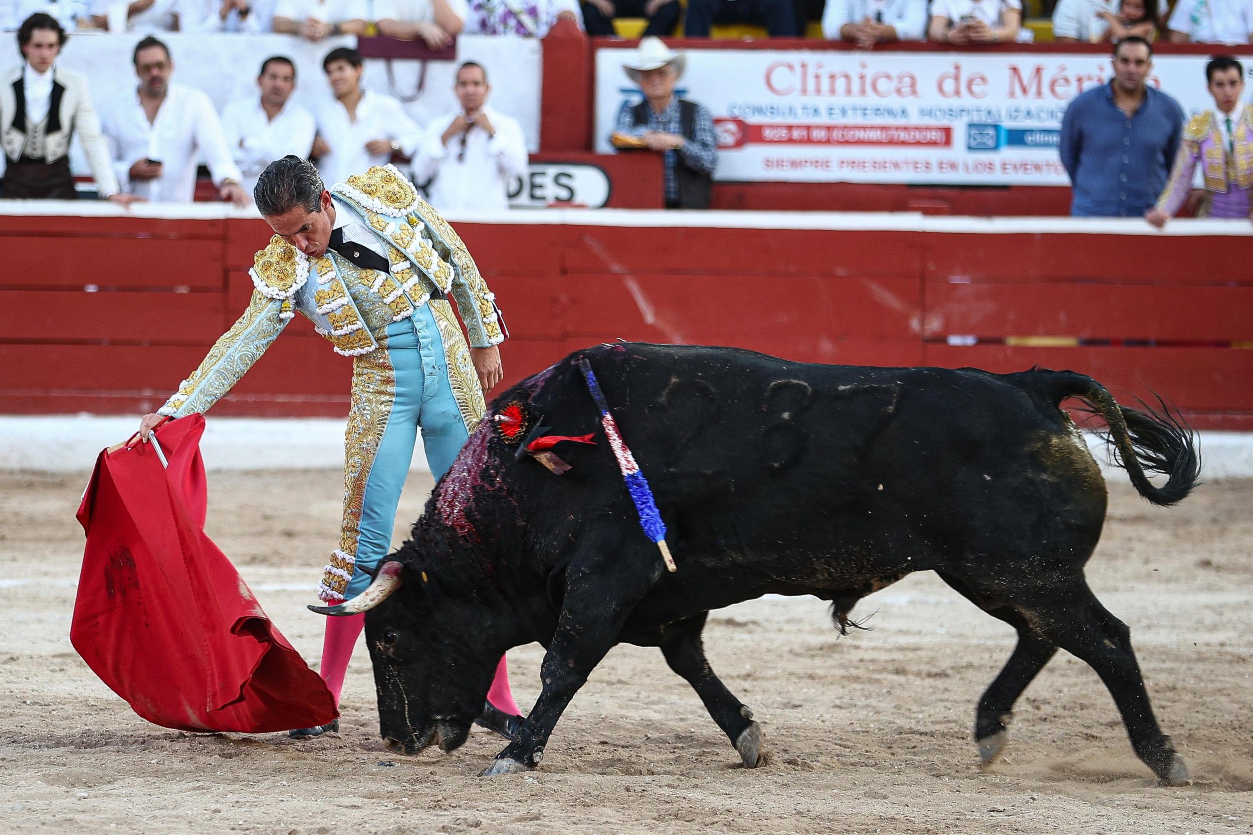 WhatsApp Image 2026-01-25 at 20.37.42 (3)