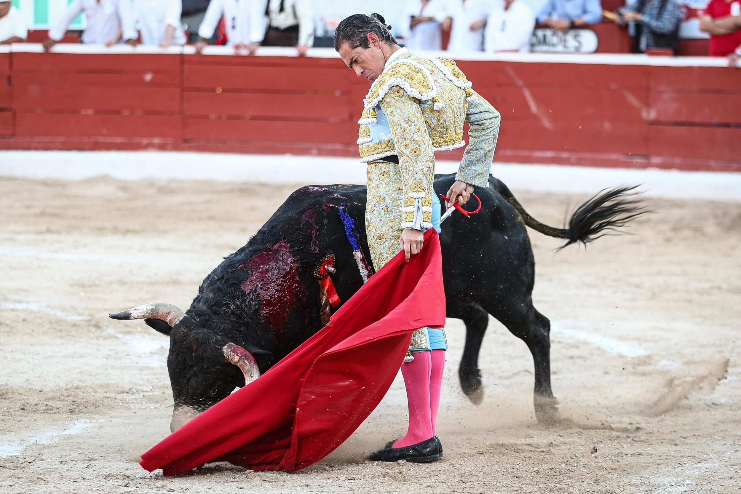 WhatsApp Image 2026-01-25 at 20.37.42 (5)