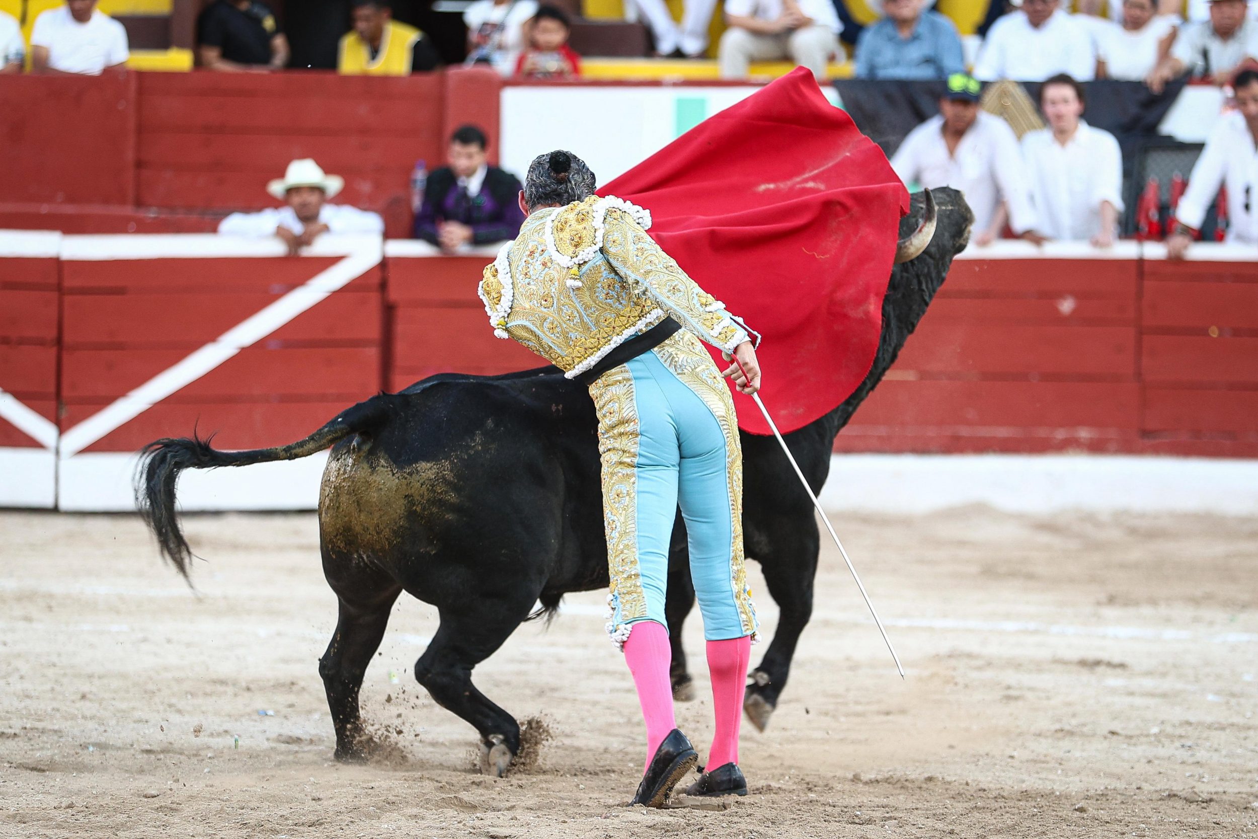 WhatsApp Image 2026-01-25 at 20.37.43 (2)