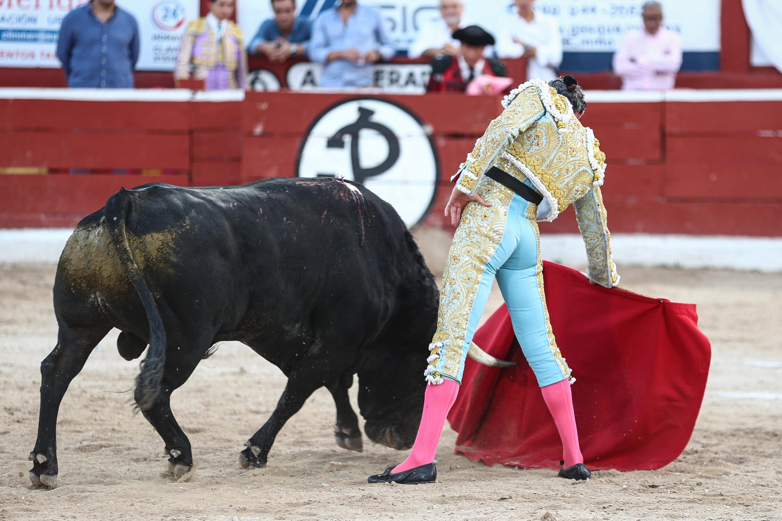 WhatsApp Image 2026-01-25 at 20.37.43