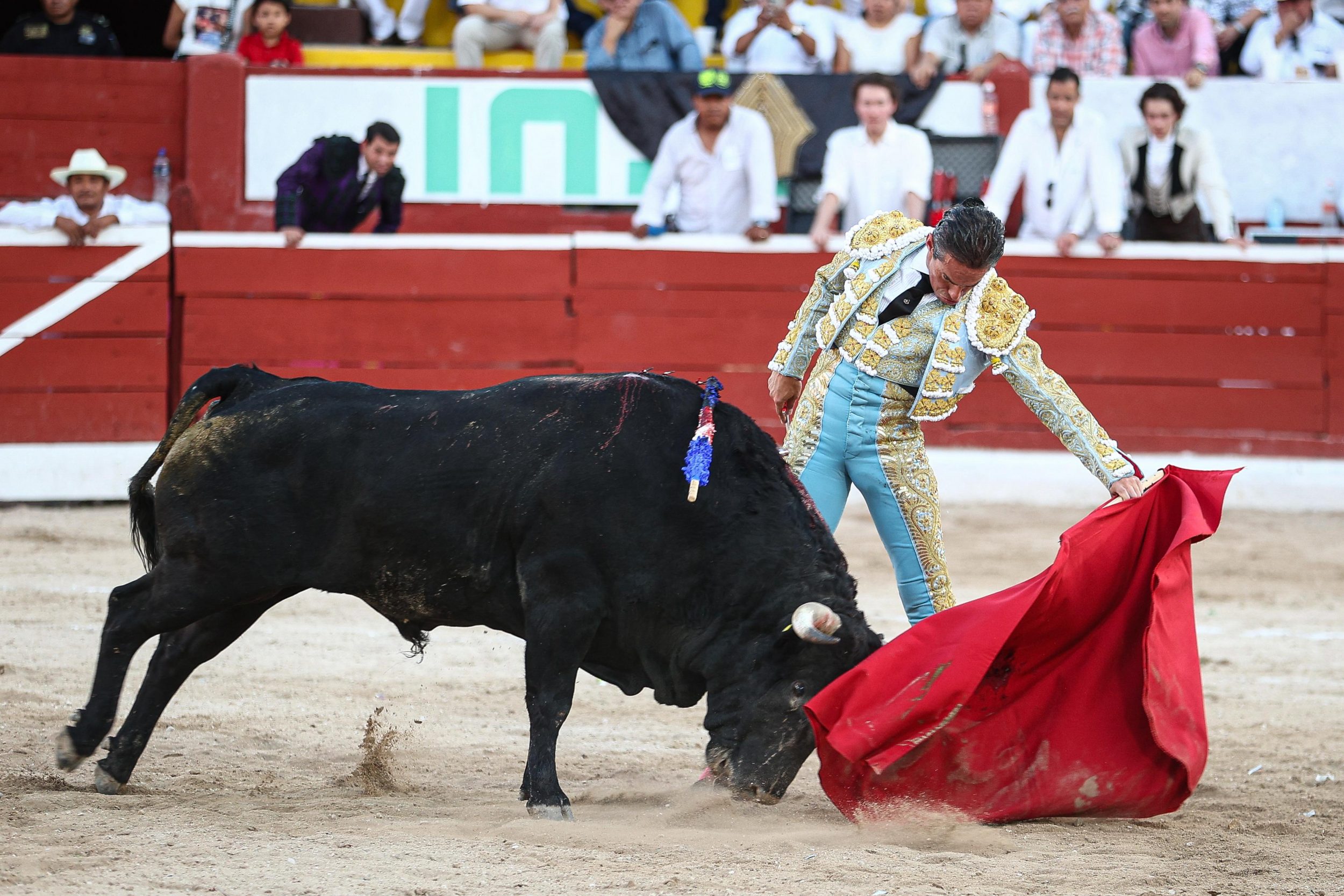 WhatsApp Image 2026-01-25 at 20.37.43 (3)