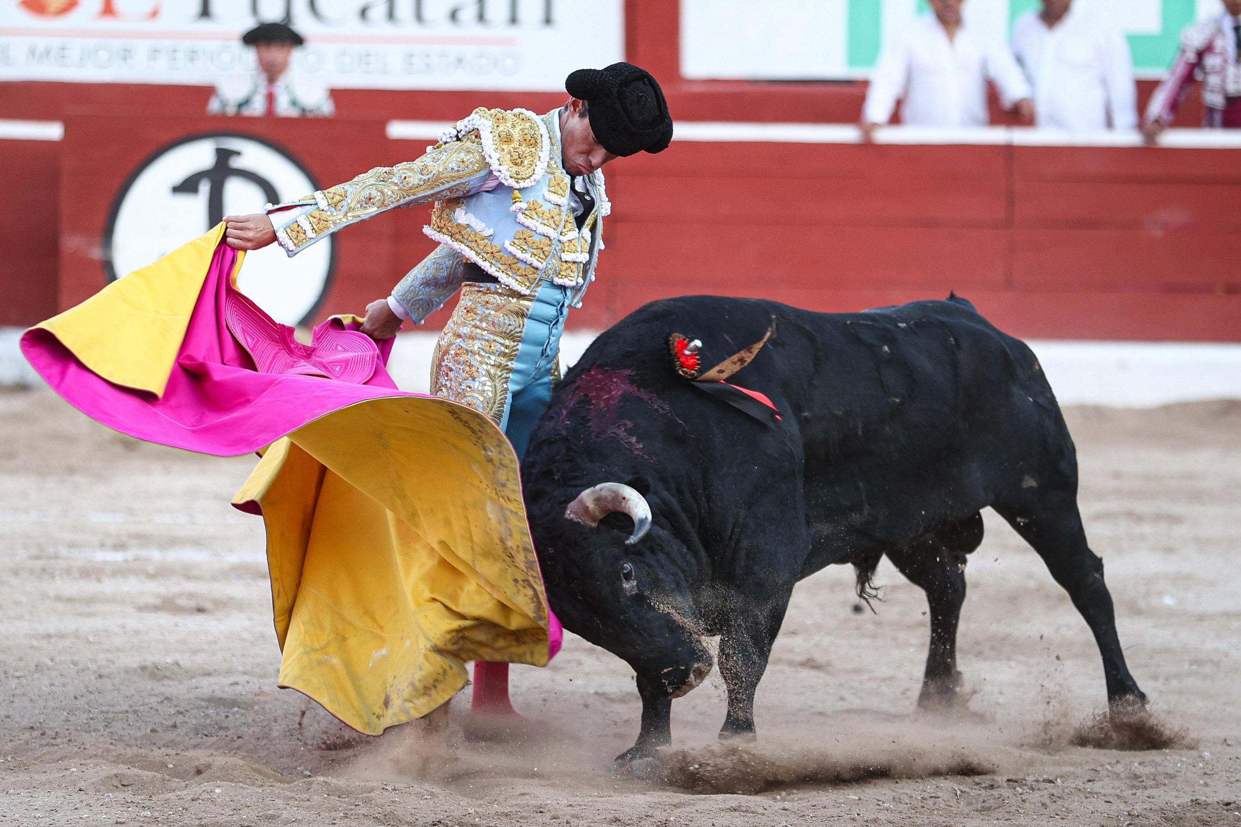 WhatsApp Image 2026-01-25 at 20.37.43 (4)