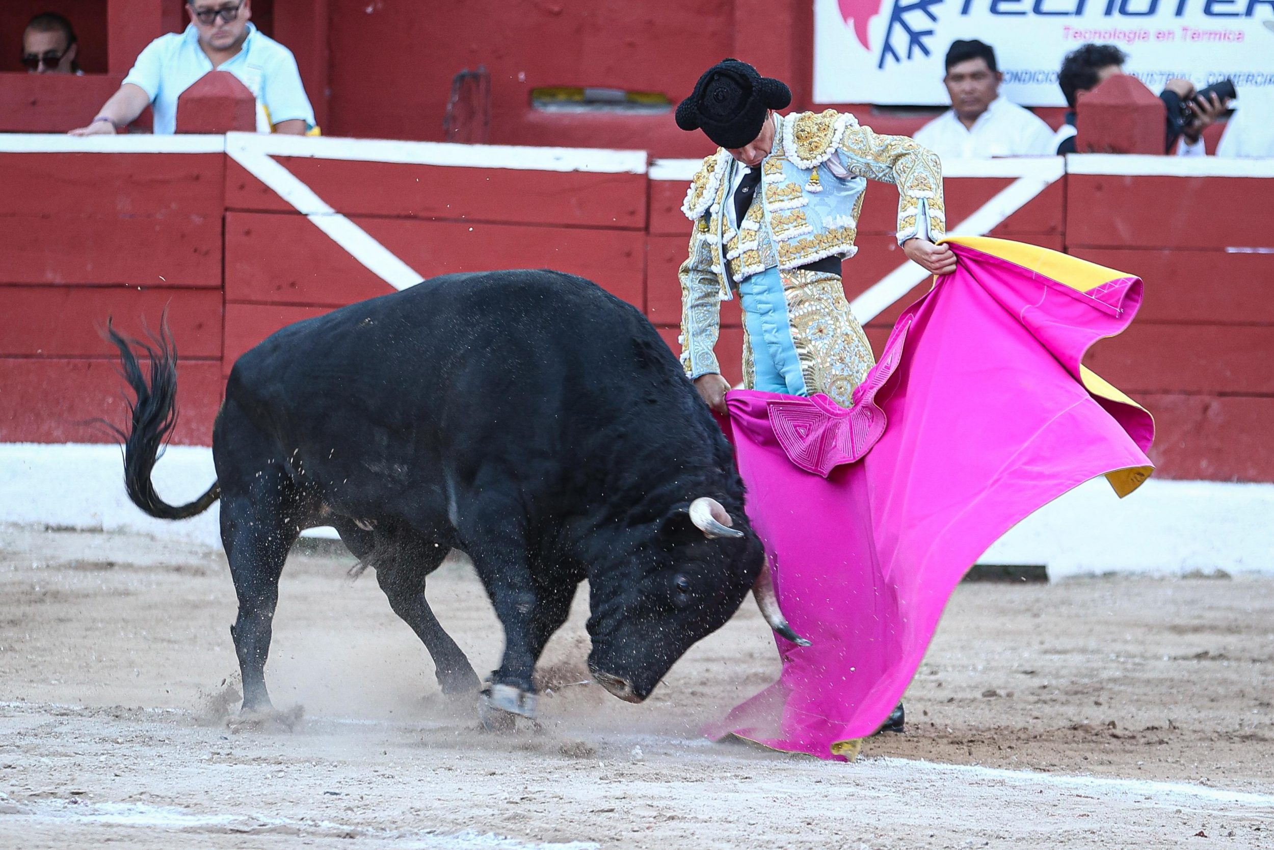 WhatsApp Image 2026-01-25 at 20.37.44 (2)