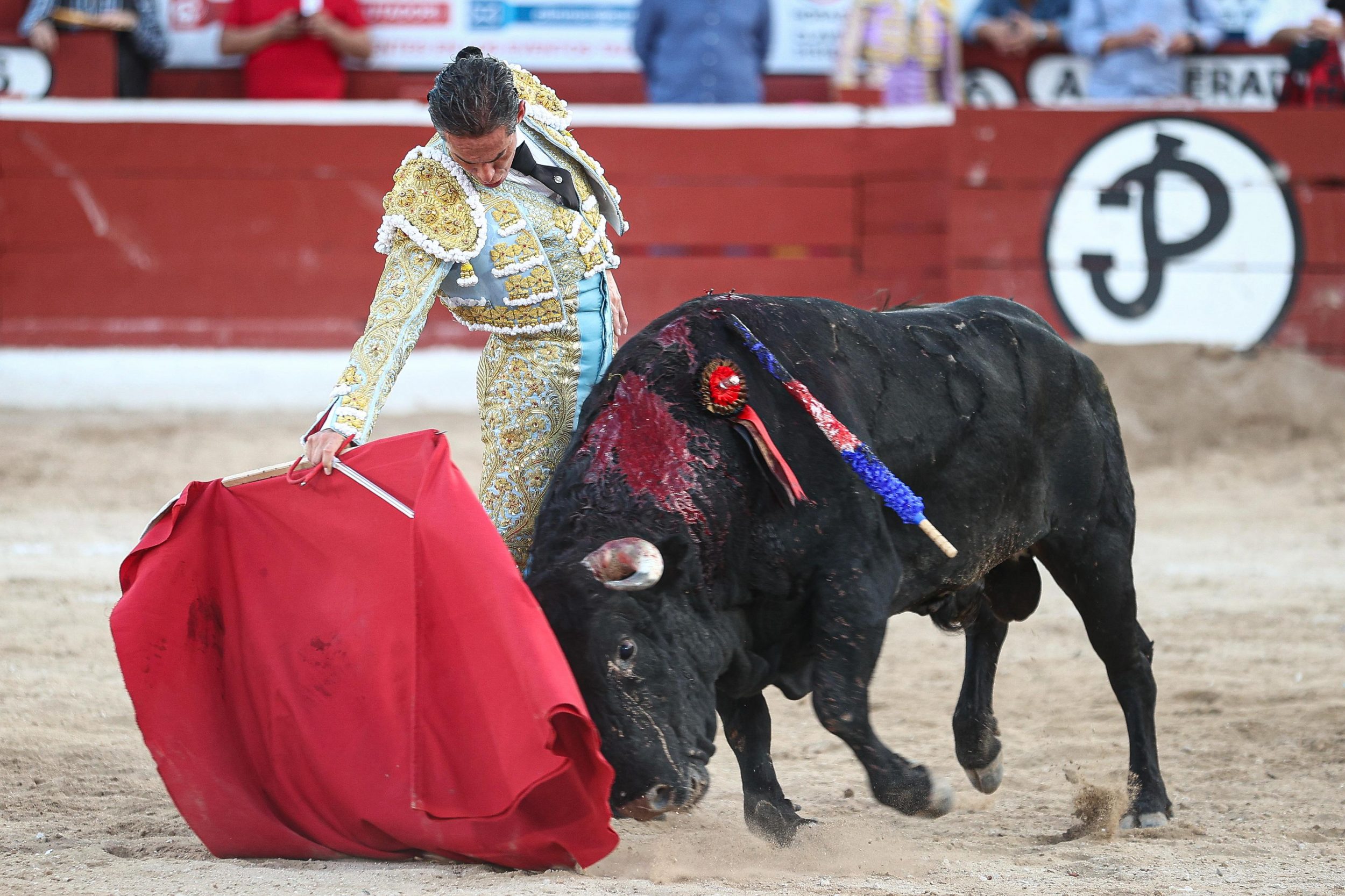 WhatsApp Image 2026-01-25 at 20.37.44