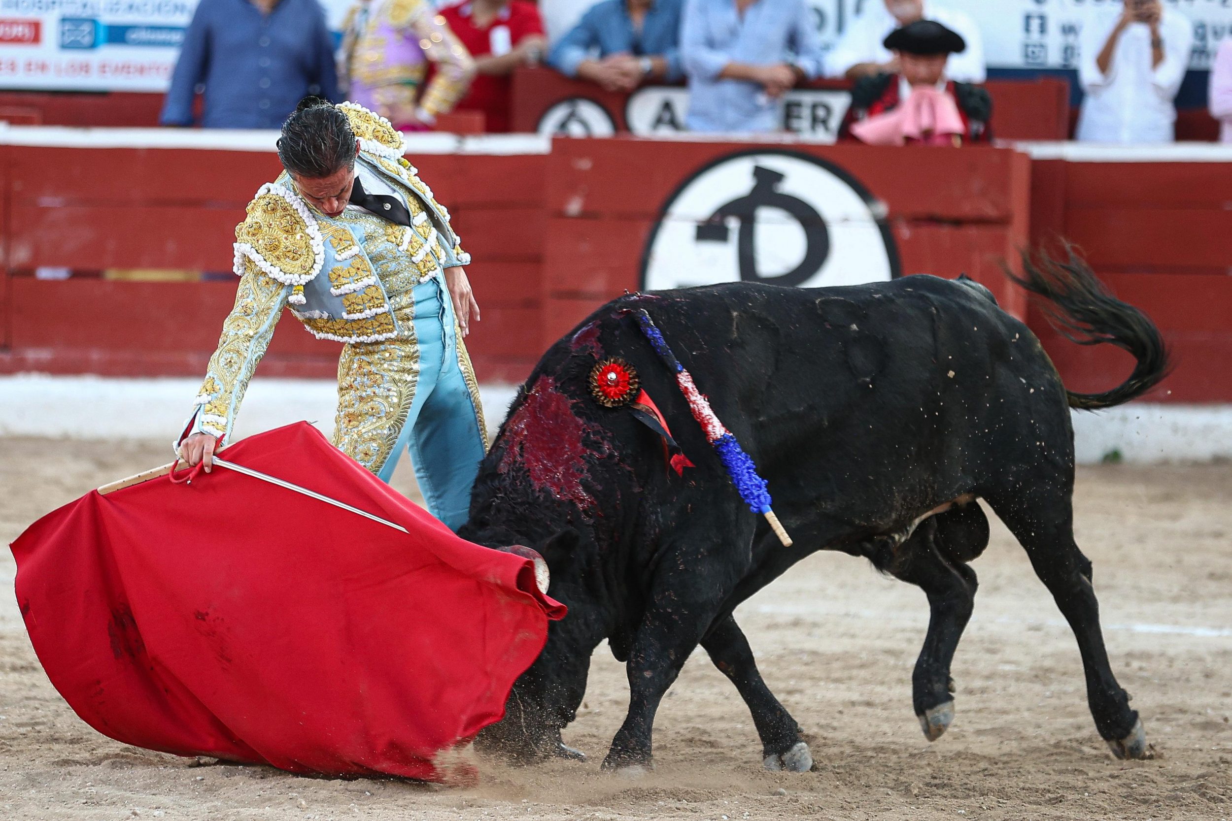 WhatsApp Image 2026-01-25 at 20.37.45 (1)