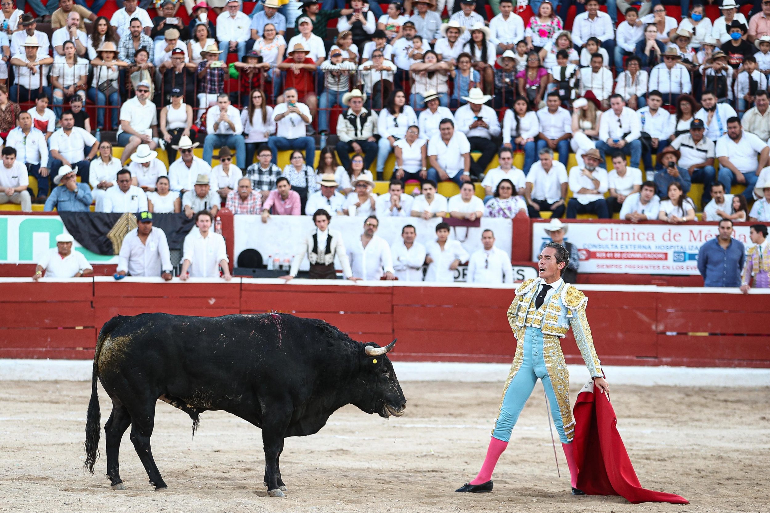 WhatsApp Image 2026-01-25 at 20.37.45 (2)