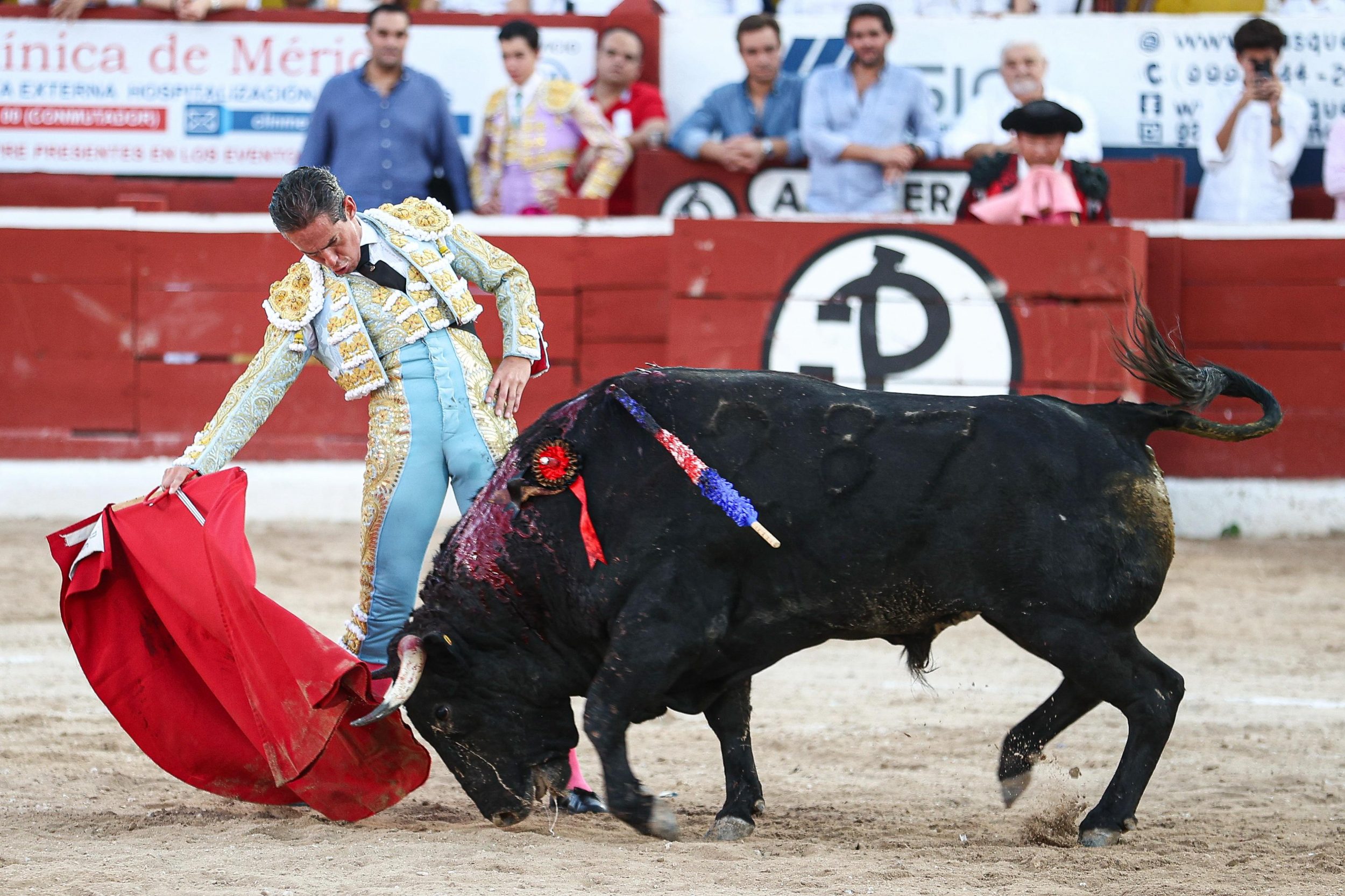 WhatsApp Image 2026-01-25 at 20.37.45