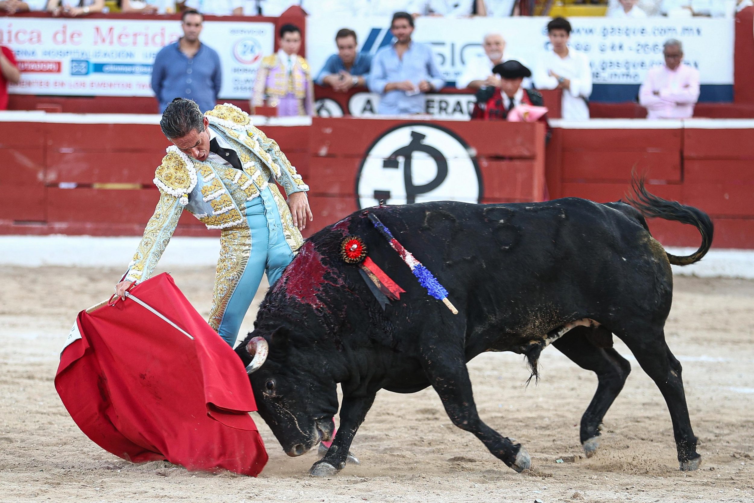 WhatsApp Image 2026-01-25 at 20.37.46 (2)