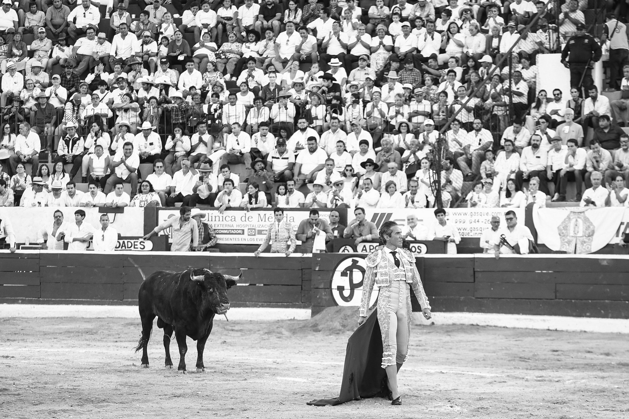 WhatsApp Image 2026-01-25 at 20.37.46