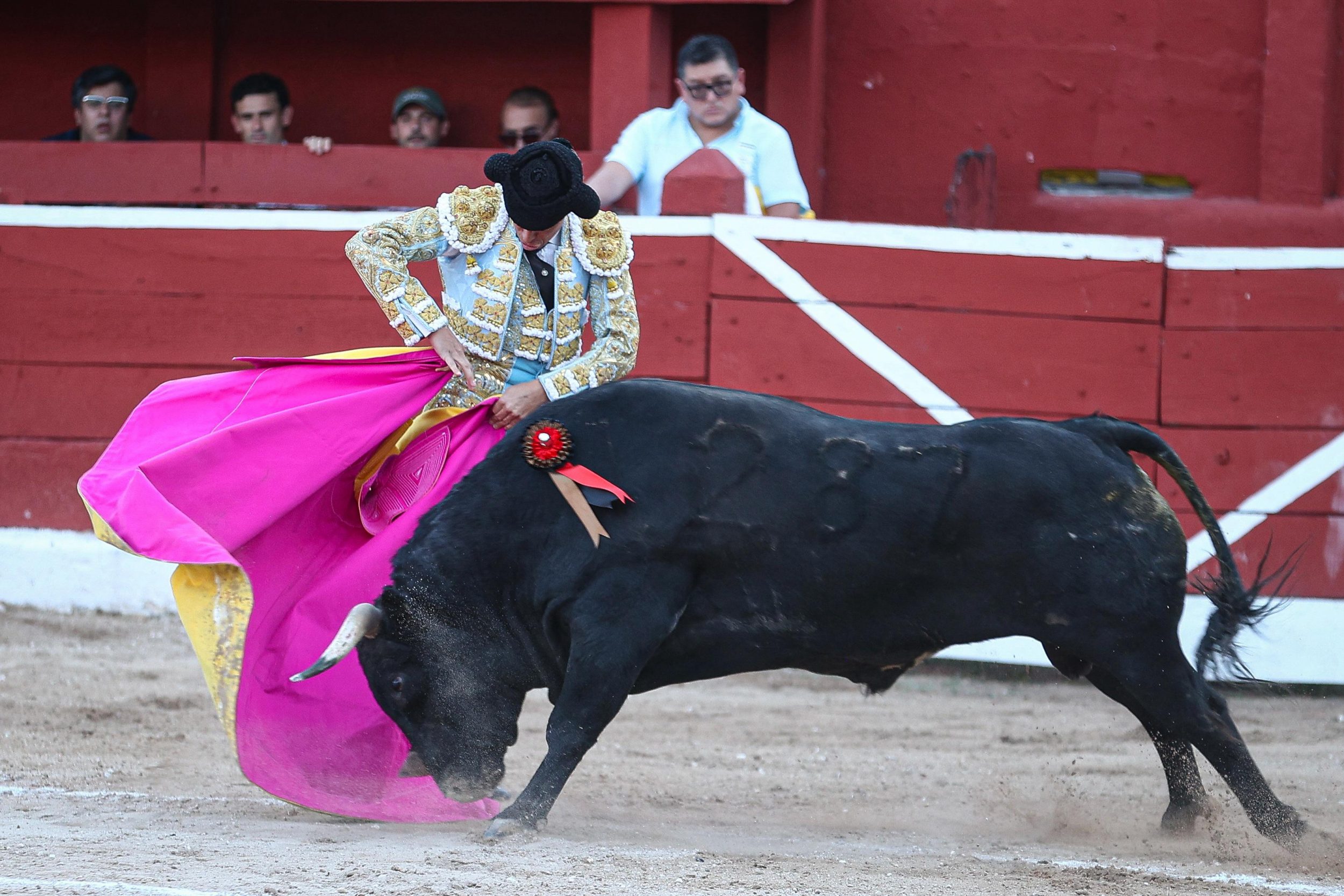 WhatsApp Image 2026-01-25 at 20.37.46 (4)