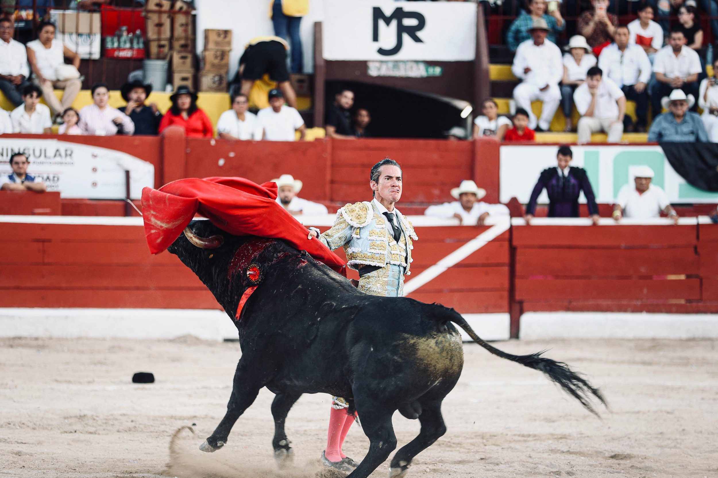 WhatsApp Image 2026-01-25 at 20.37.47 (2)