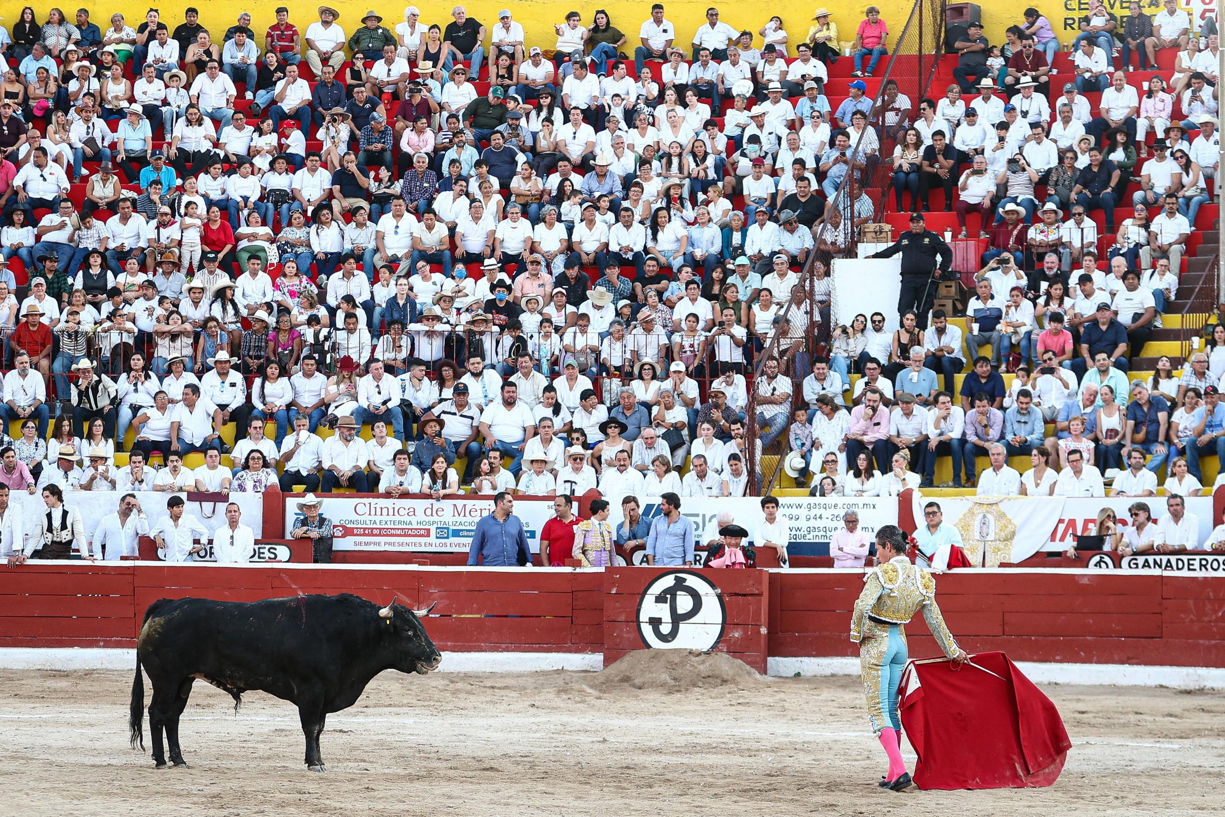 WhatsApp Image 2026-01-25 at 20.37.47