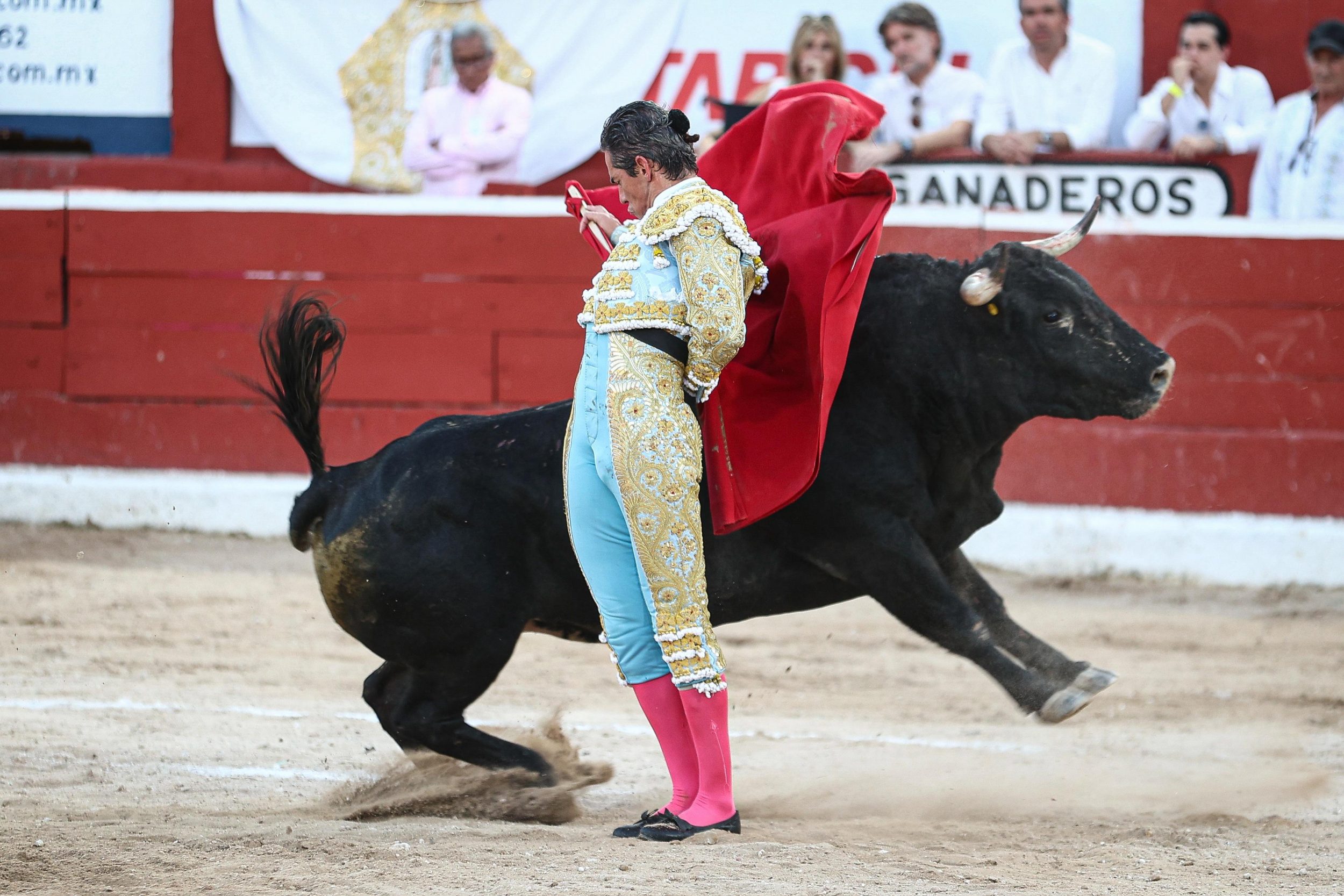 WhatsApp Image 2026-01-25 at 20.37.47 (3)