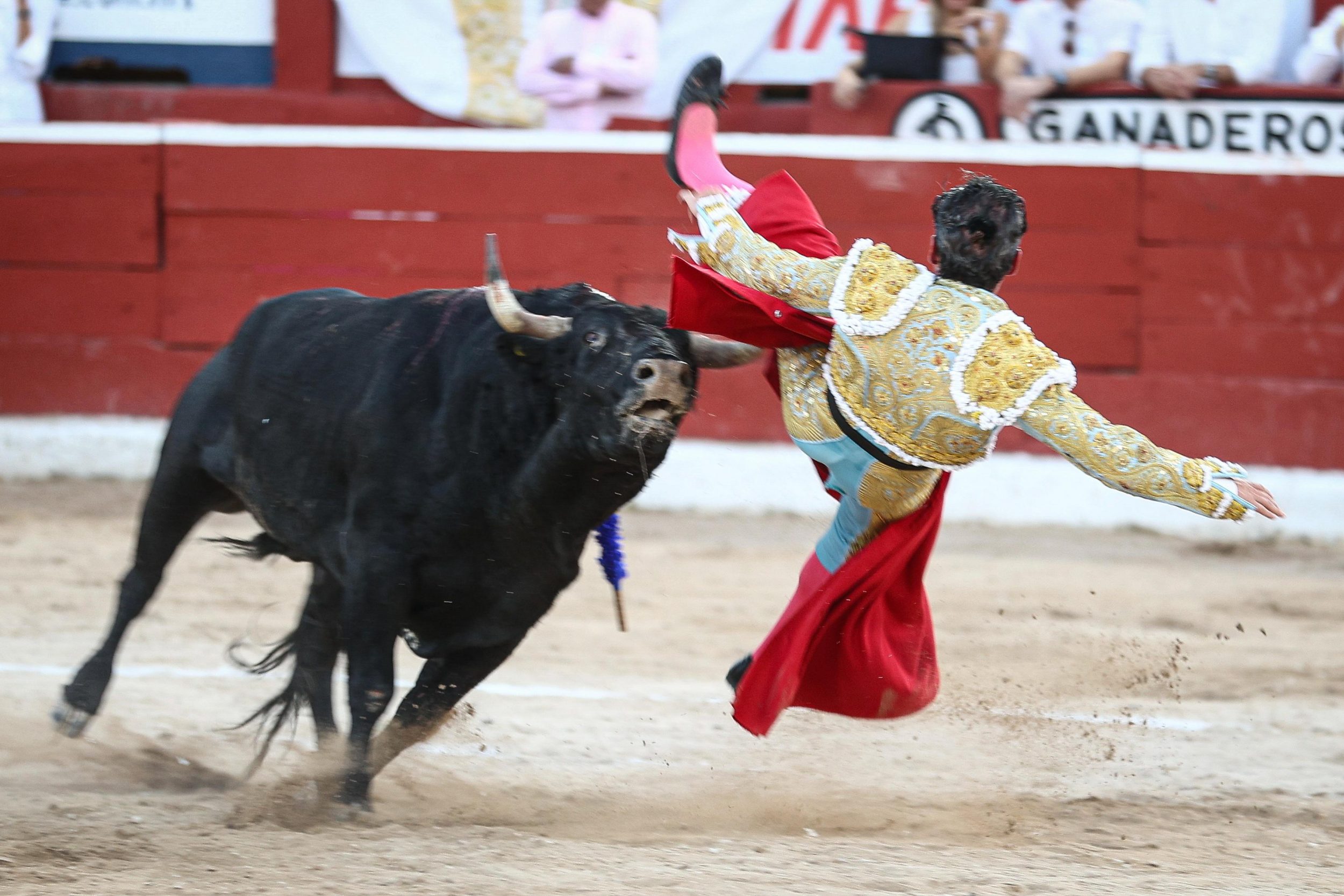 WhatsApp Image 2026-01-25 at 20.37.47 (4)