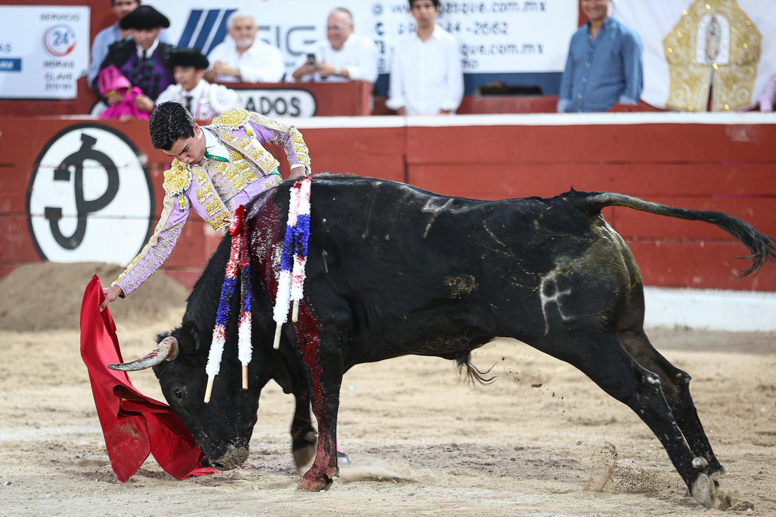 WhatsApp Image 2026-01-25 at 20.37.48 (2)