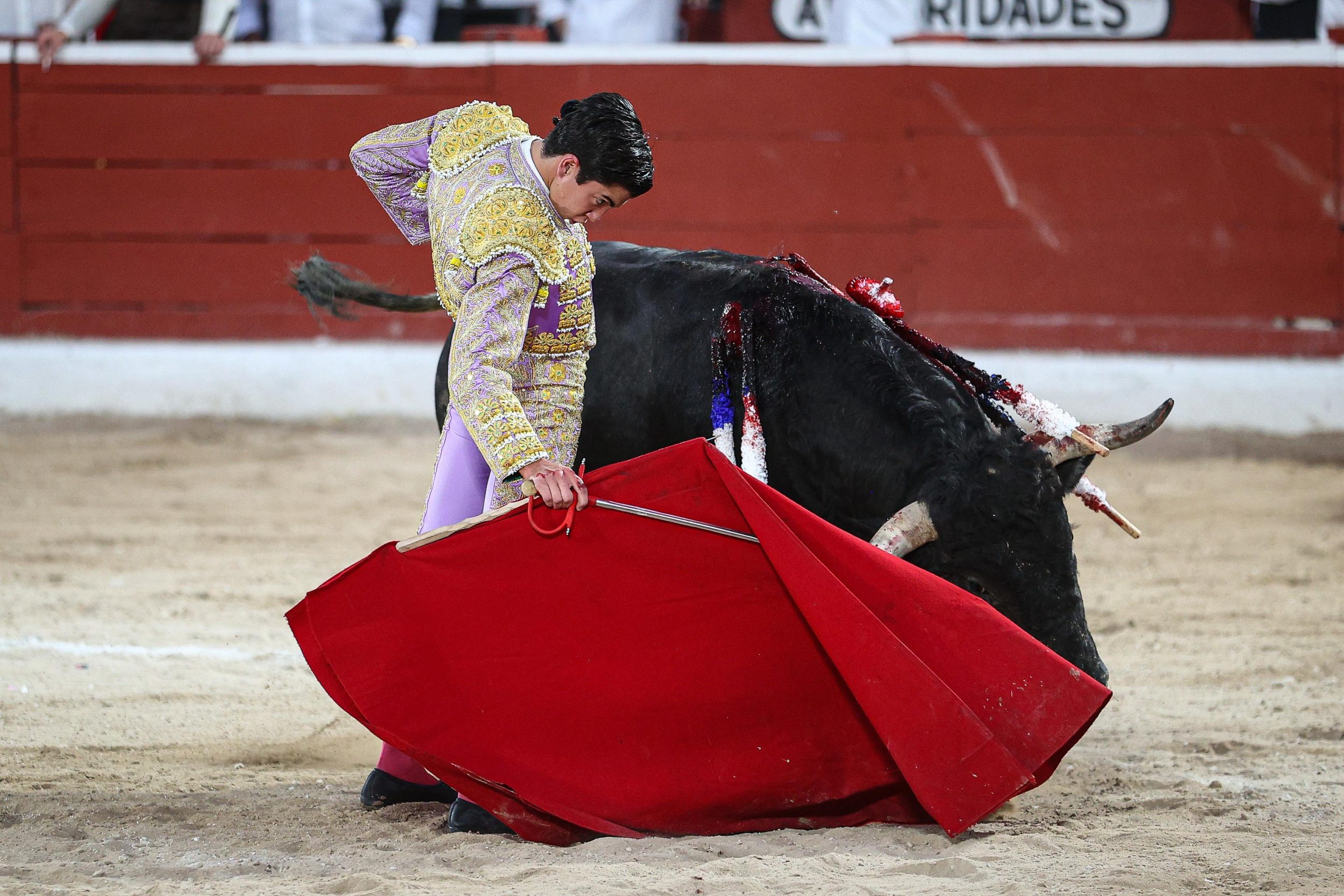 WhatsApp Image 2026-01-25 at 20.37.48