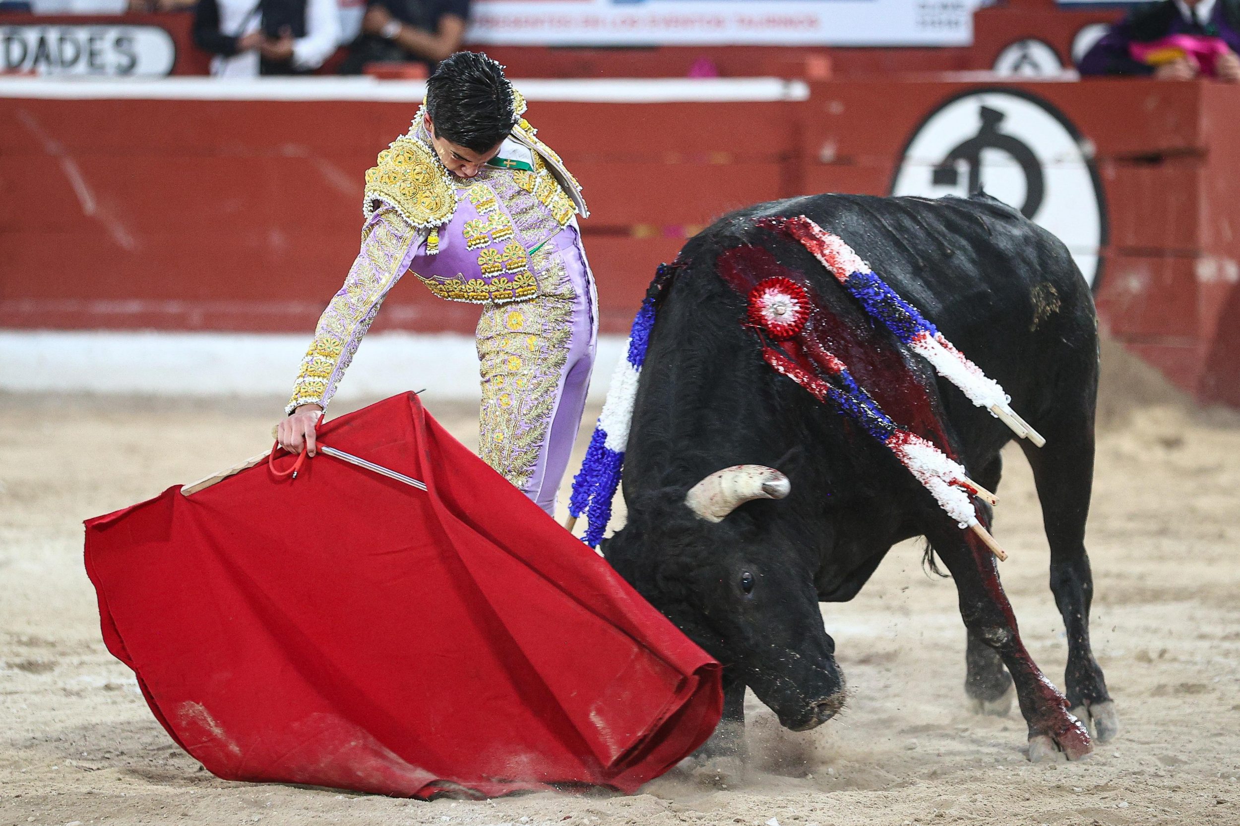 WhatsApp Image 2026-01-25 at 20.37.48 (4)