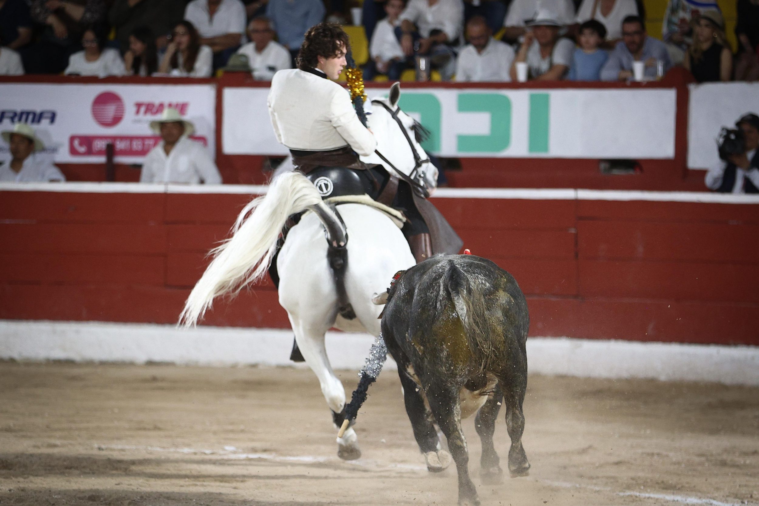 WhatsApp Image 2026-01-25 at 20.37.49 (4)