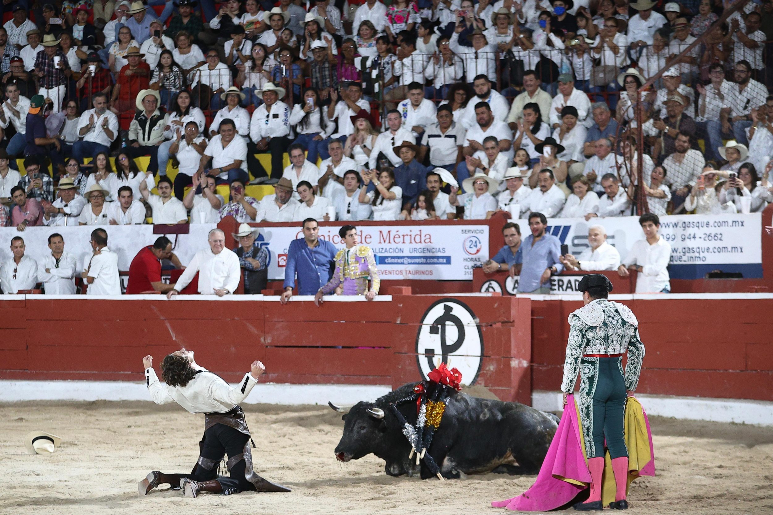 WhatsApp Image 2026-01-25 at 20.37.50 (3)