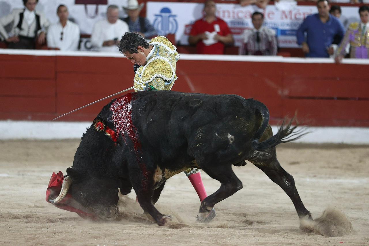 WhatsApp Image 2026-01-25 at 20.37.51 (2)