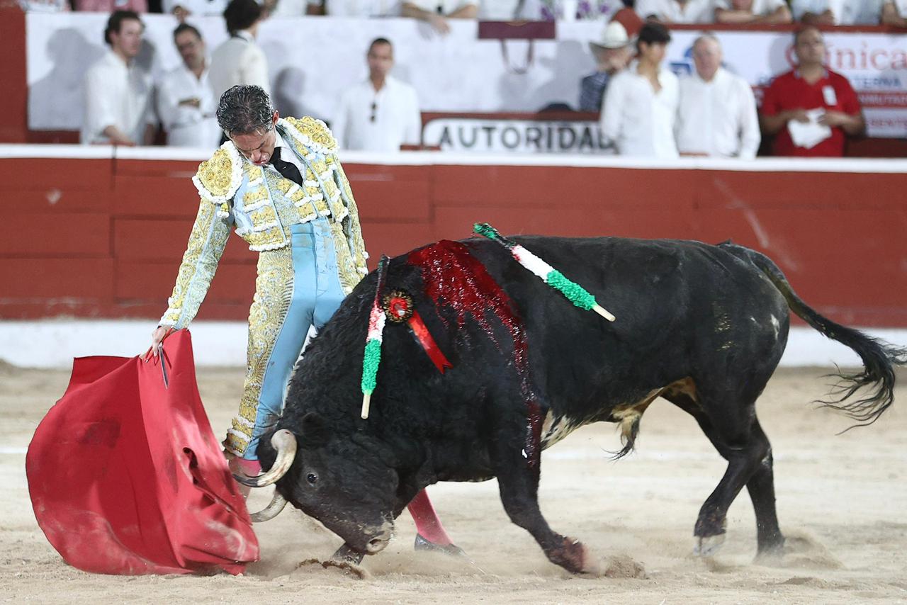 WhatsApp Image 2026-01-25 at 20.37.51 (4)