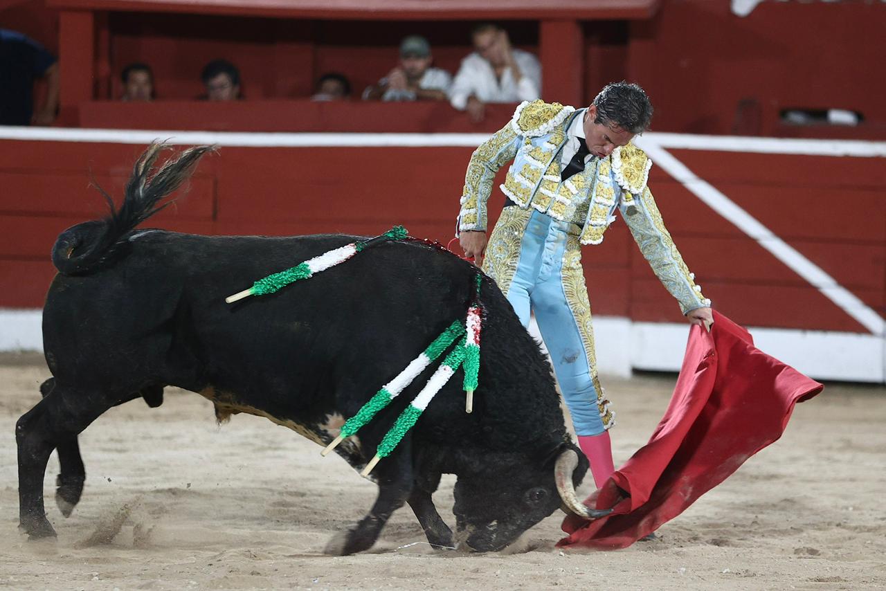 WhatsApp Image 2026-01-25 at 20.37.51 (5)