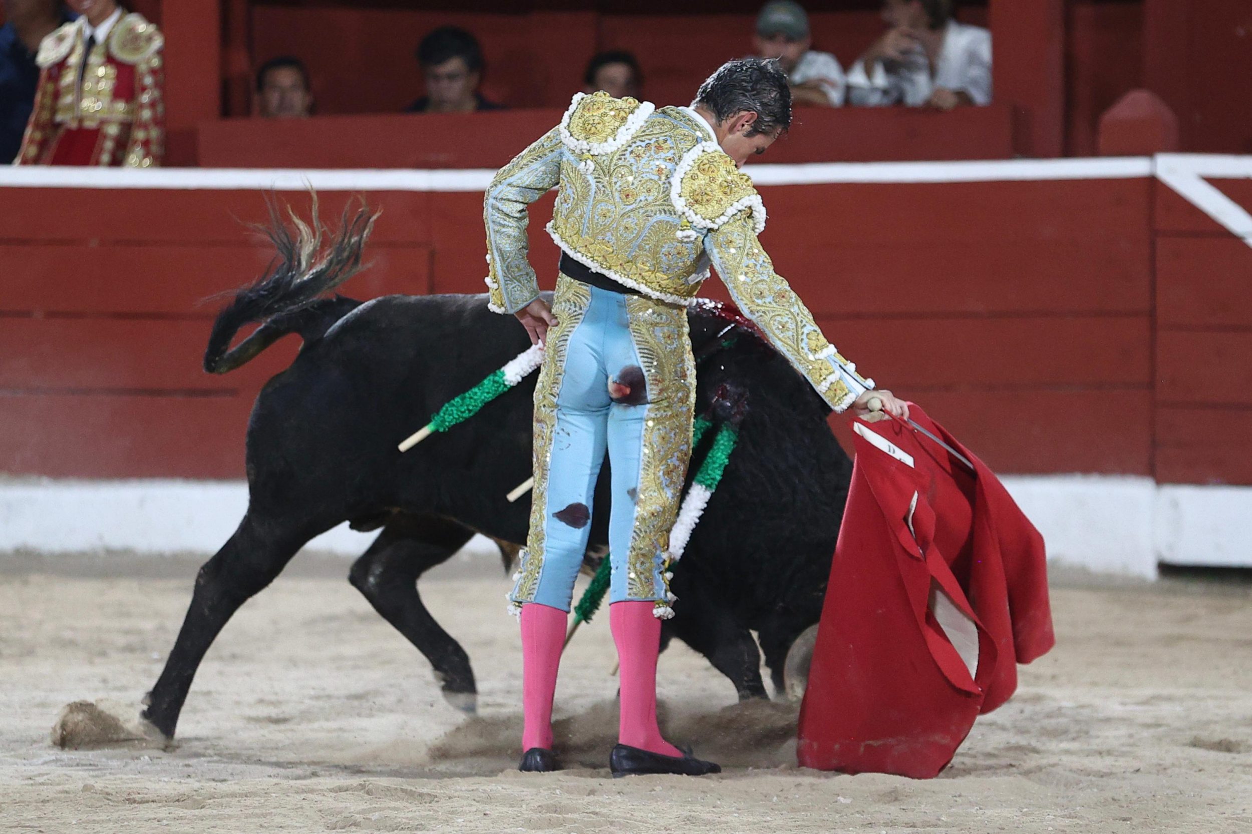 WhatsApp Image 2026-01-25 at 20.37.52 (1)