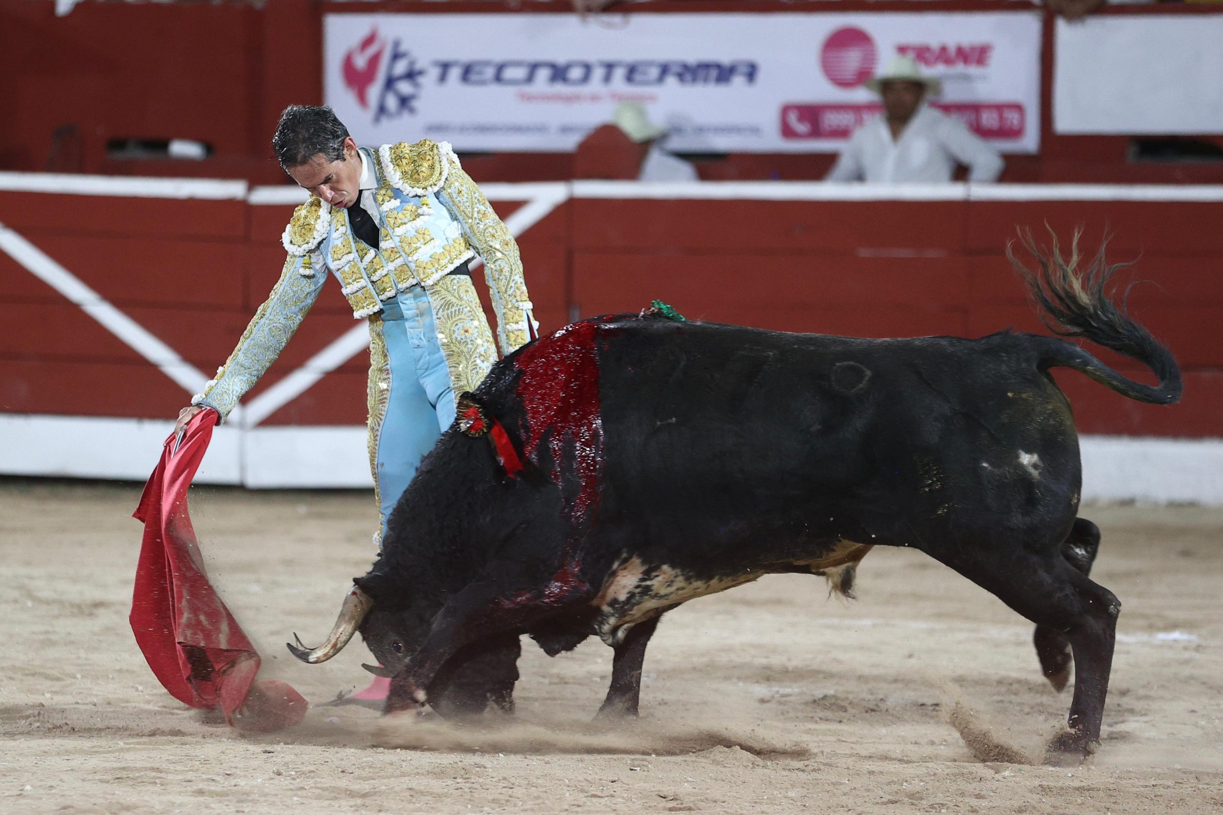 WhatsApp Image 2026-01-25 at 20.37.52